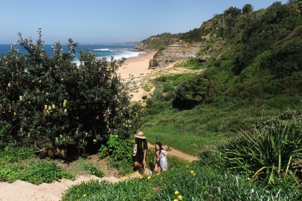 Warriewood Budding Suburb that Escapes Tourists Attention
