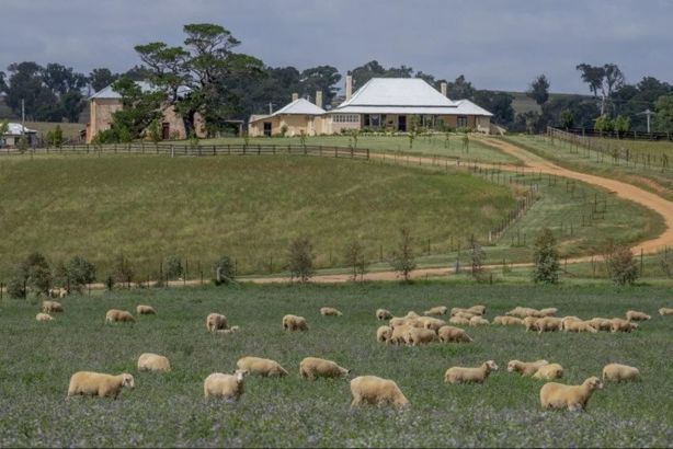 macquariefarm4