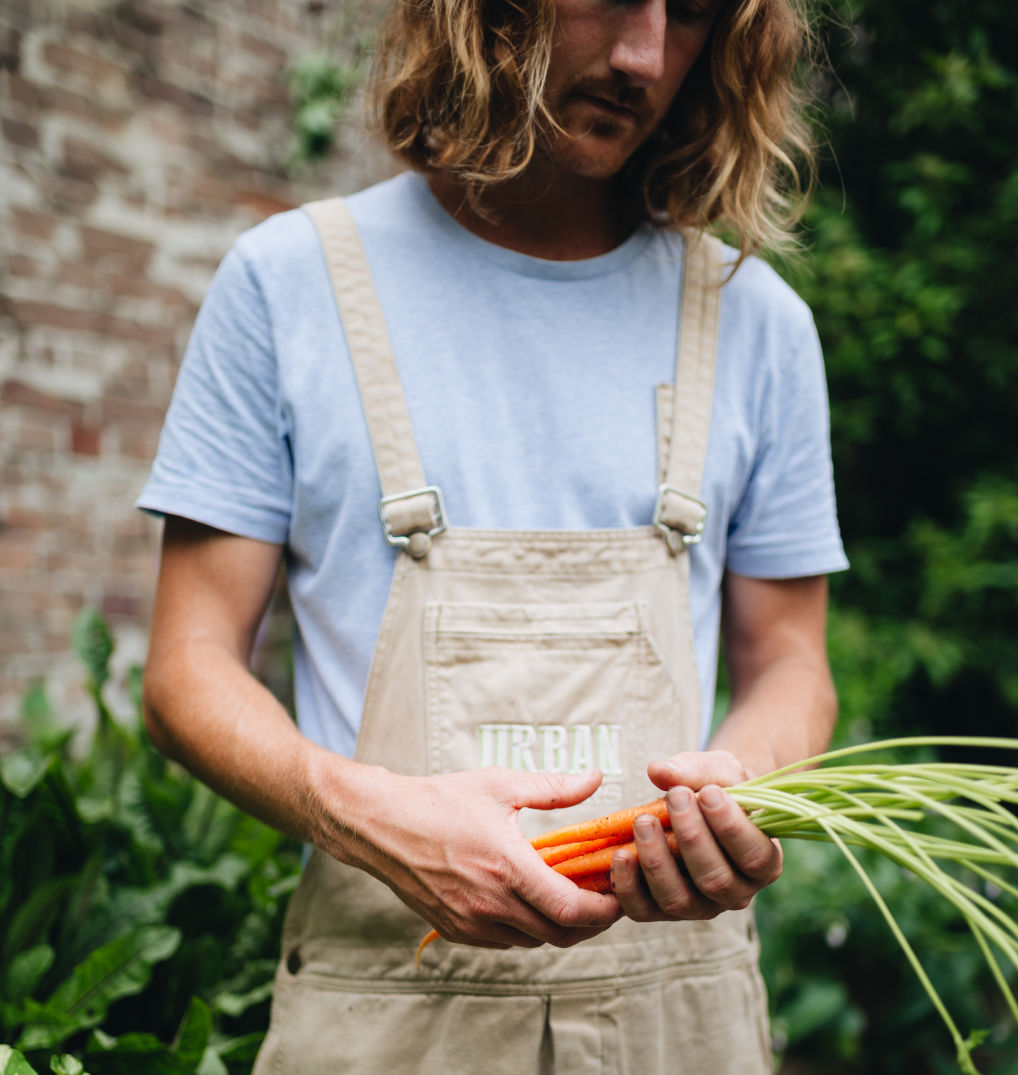 Plant your edibles not just according to their preferred conditions, but what you’ll use the most. Photo: Alex Carlyle.