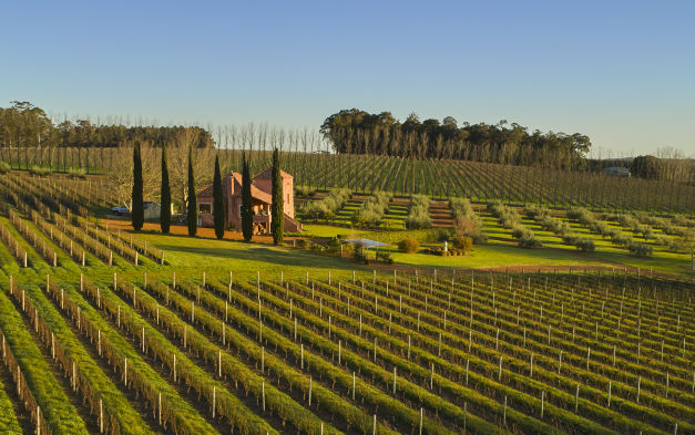Dreaming of owning a winery? Here's what you need to know before you invest