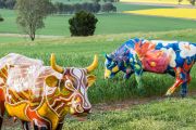 Out of Town: How the Shepparton farming region is flourishing