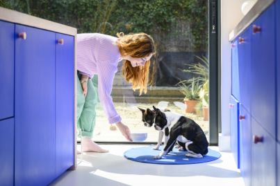 What is 'barkitecture'? The pet-friendly design trend you've never heard of