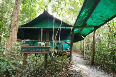 Escape to a safari hut in the rainforest for $1.25 million