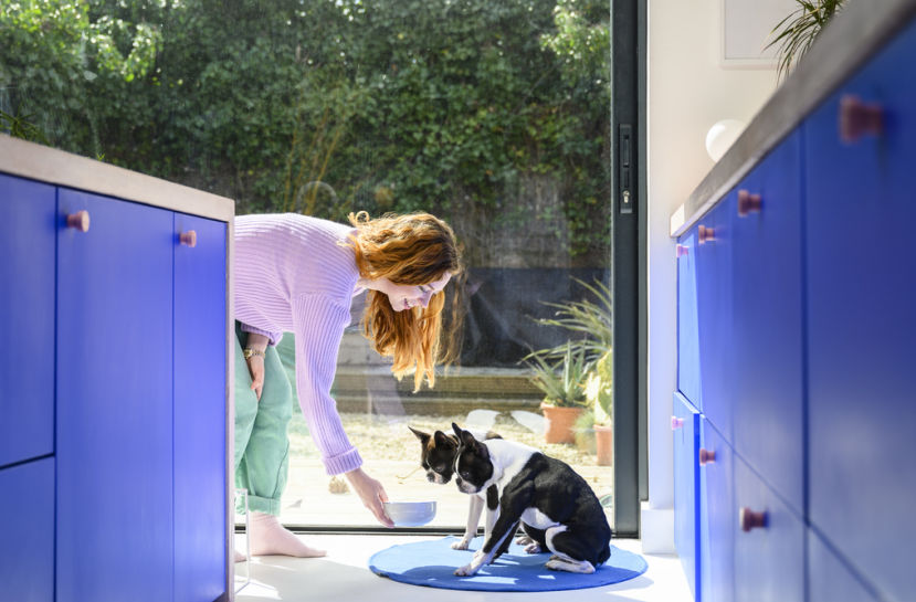 What is 'barkitecture'? The pet-friendly design trend you've never heard of