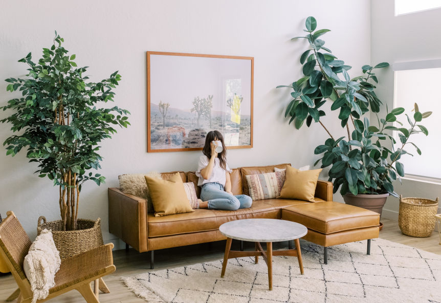 Going green: The interior trend that is good for your health