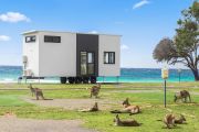 Could tiny homes help solve Canberra’s affordable housing crisis?