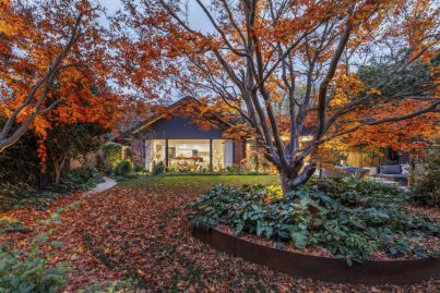 Enchanting house in Reid for sale with the garden of our dreams
