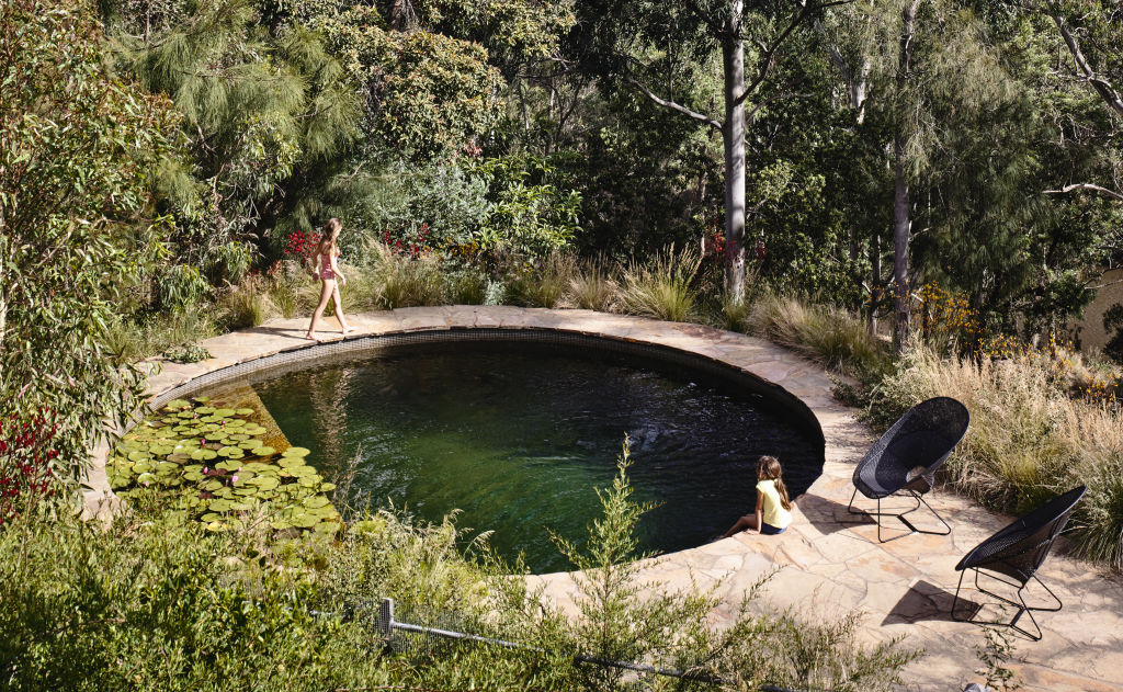 From natural to circular: These are the hottest pool trends for 2020