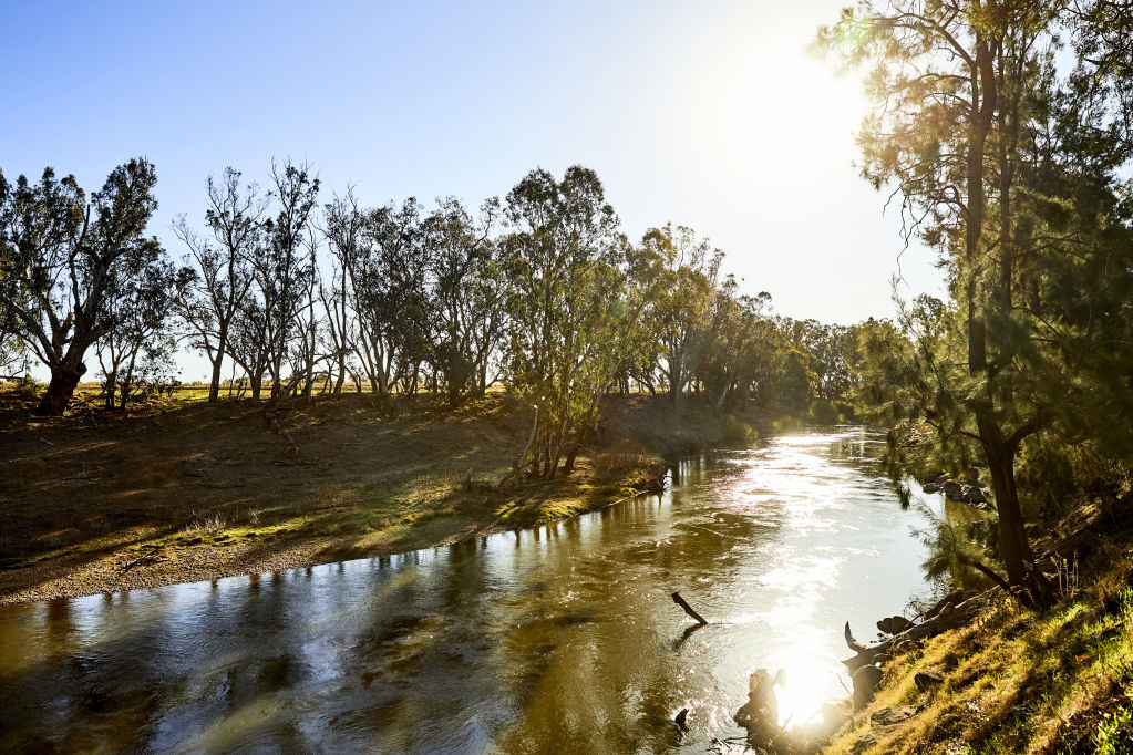 Dubbo's natural beauty is open for exploration along the tranquil Macquarie River. Photo: Robert Gray