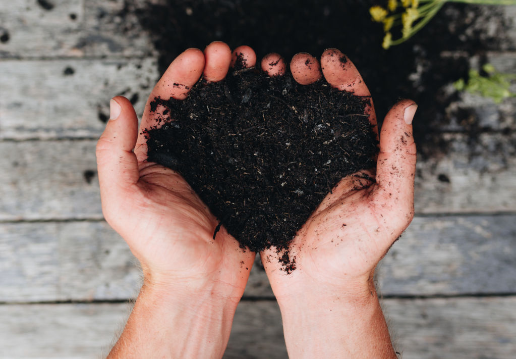 Identify your soil type before you choose your plants. Photo: Alex Carlyle