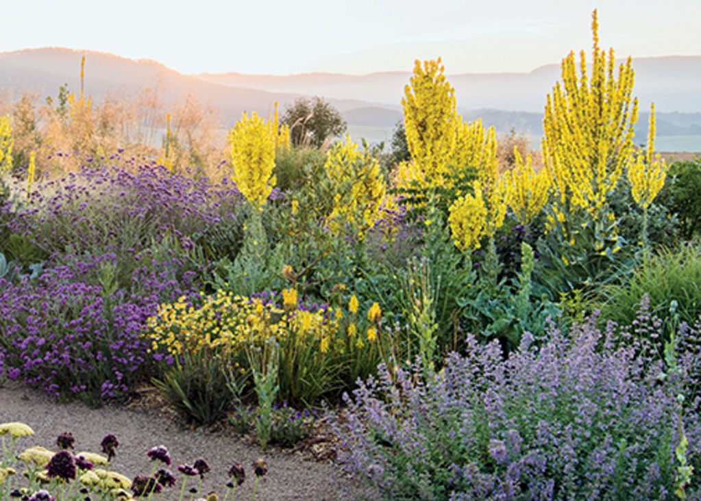 Five of the best gardening books to read now