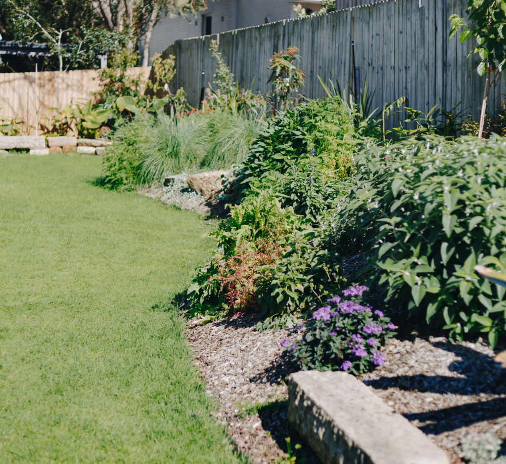 Grass goals: The ultimate guide to looking after your lawn