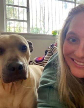 Pet owner Nicole says her family's latest move with Staffy Roxy was easier than in the past.