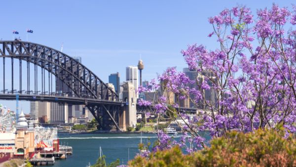 Want to live with a view of the Sydney Harbour Bridge? Expect to pay at least $600k