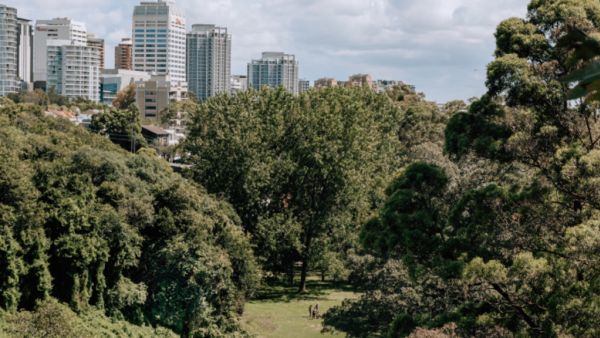 Welcome to Australia's most expensive street: Kambala Road