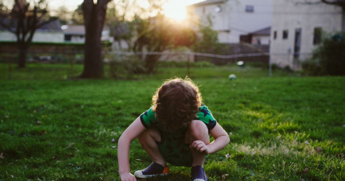 How To Get Rid Of Those Unwanted Ants