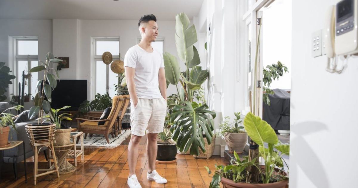 The 10 Best House Plants For Absolute Beginners The 10 Best House Plants For Absolute Beginners