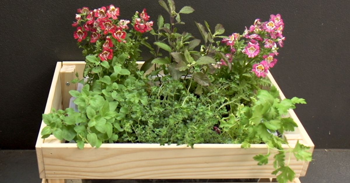 Self Watering Herb Planter Box, How To Make A Self Watering Garden Box