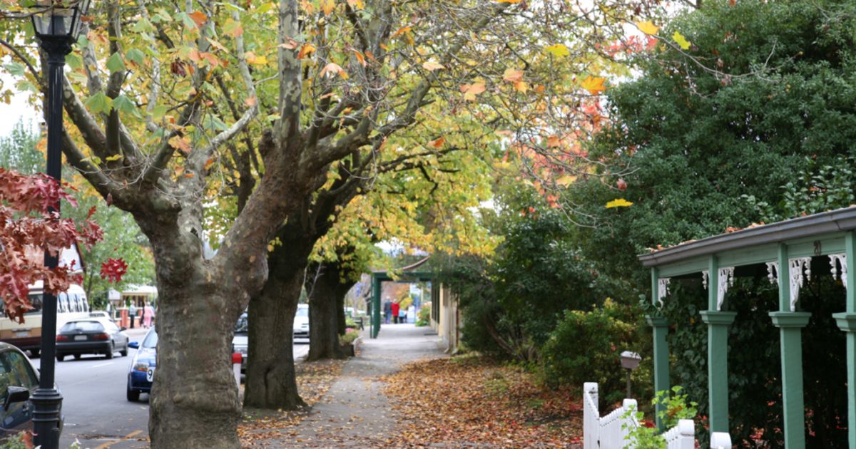 The Adelaide suburbs where rents are rising and falling the most