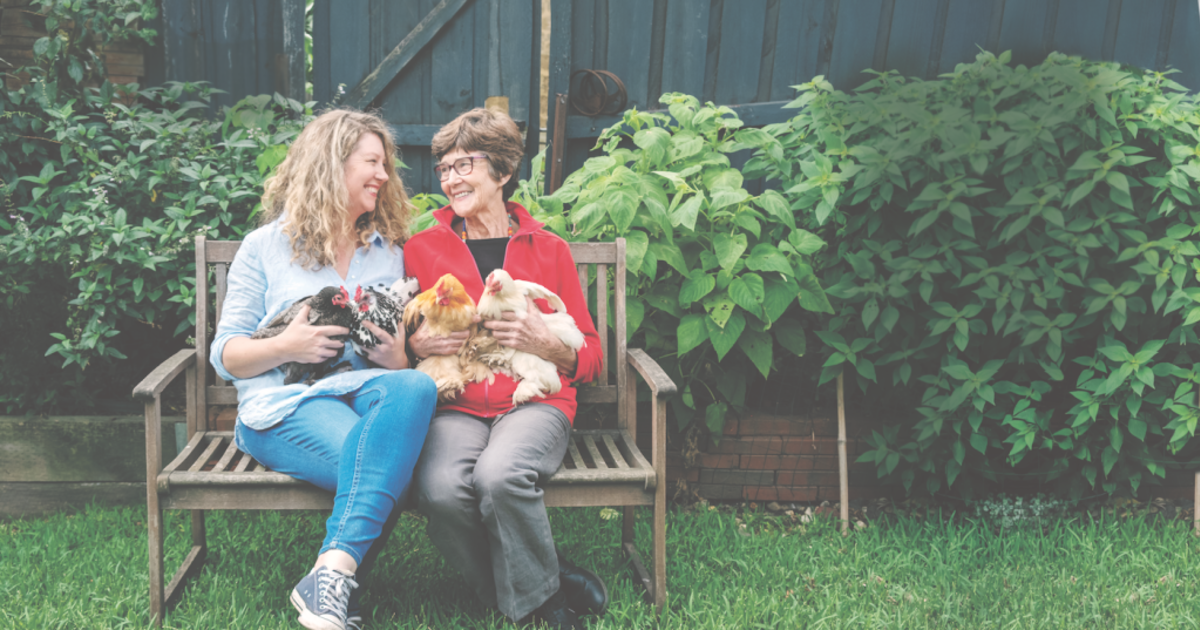 This Chicken Life Backyard Chickens And The People Who Love Them