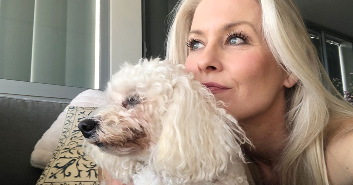 Why Coronavirus Has Made Our Pets Stressed Out And Anxious