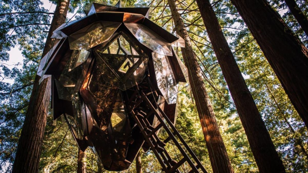 5 luxury treehouses that aren't just for kids