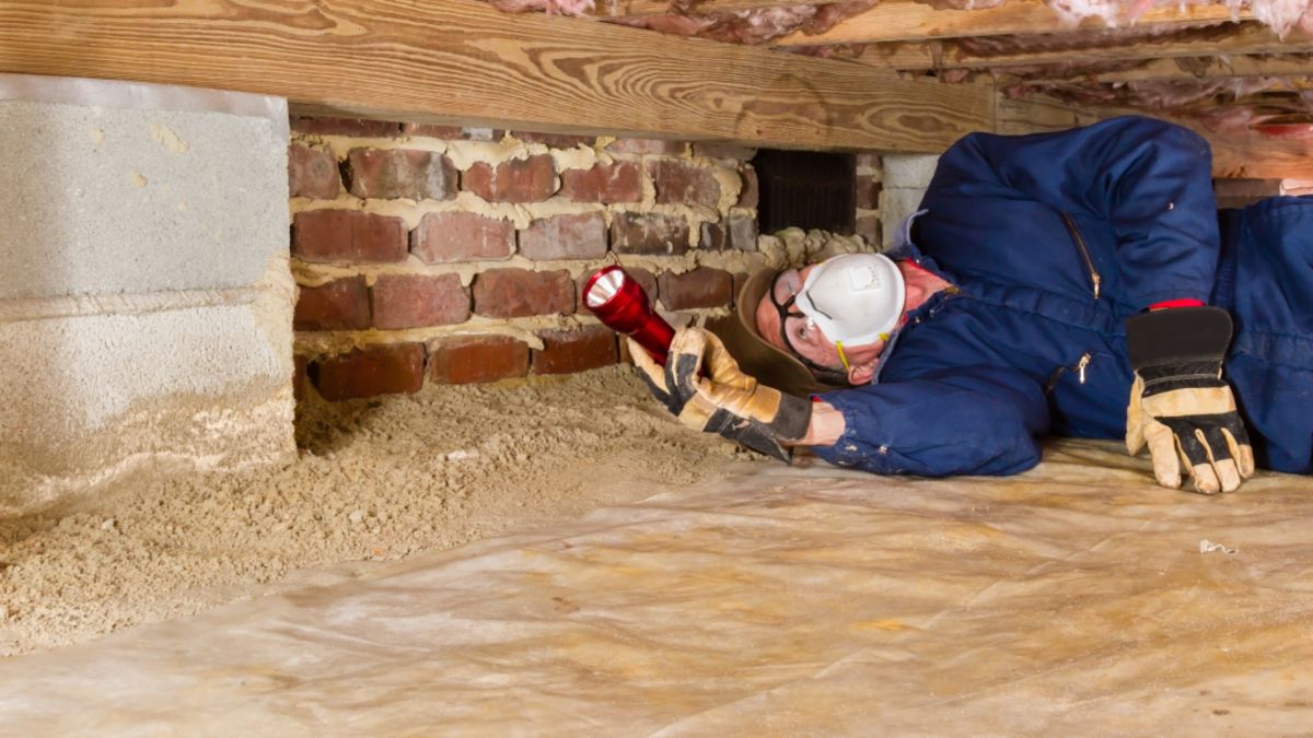 what-is-a-pre-purchase-inspection-report-and-how-much-does-it-cost