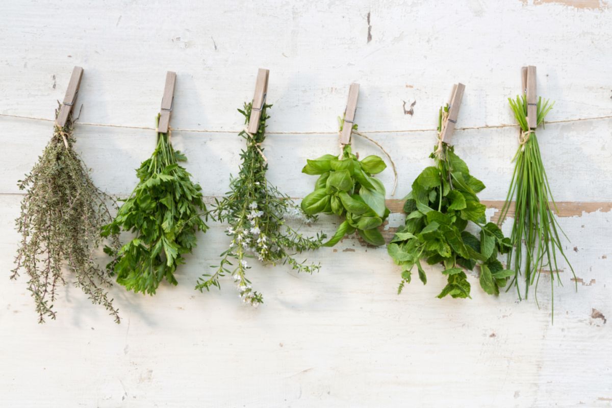 10 tips to help you grow all the herbs you'll ever need