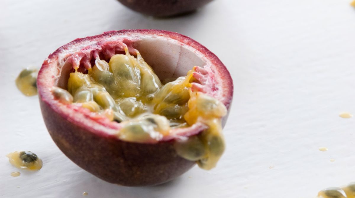 A Passion For Fruits Of The Vine How To Grow Passionfruit In Your Backyard