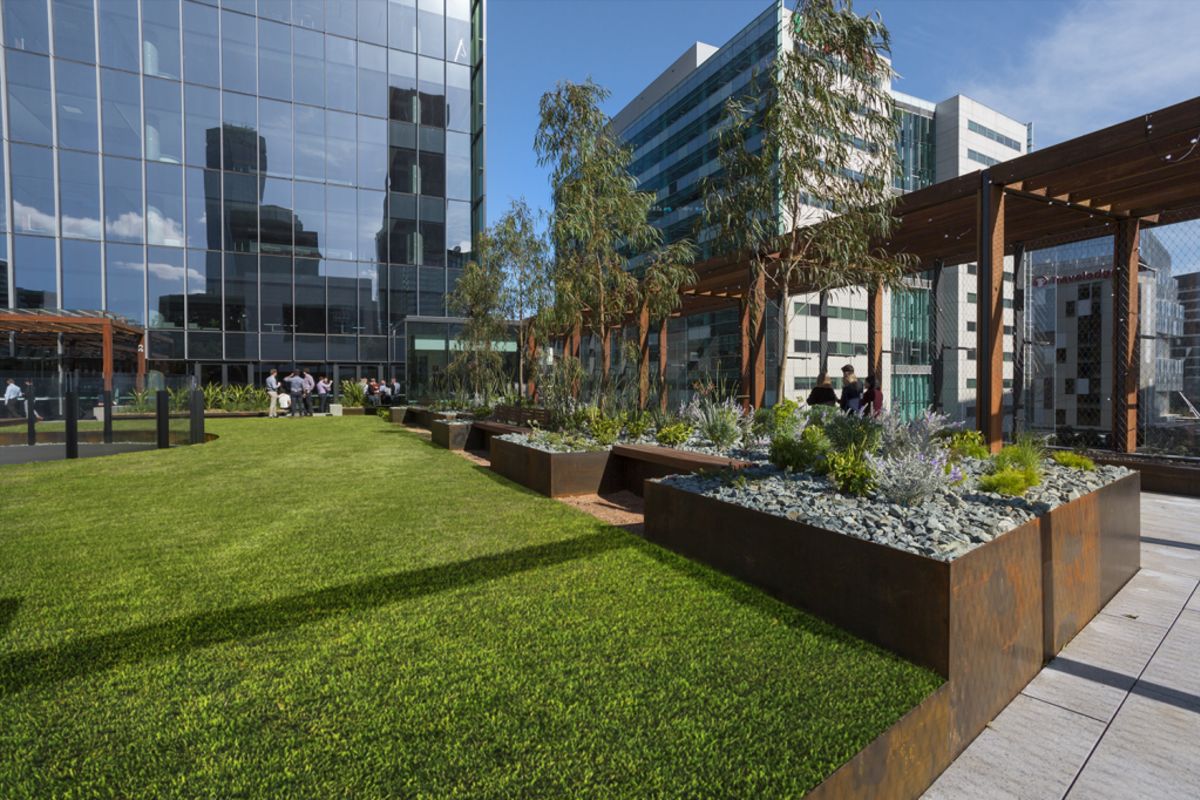 Green space in and around office buildings is producing ...