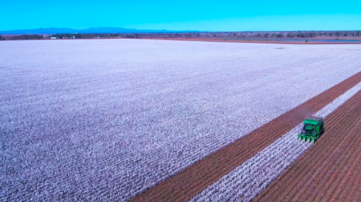 Namoi Valley cotton farms sold to local families for 35m