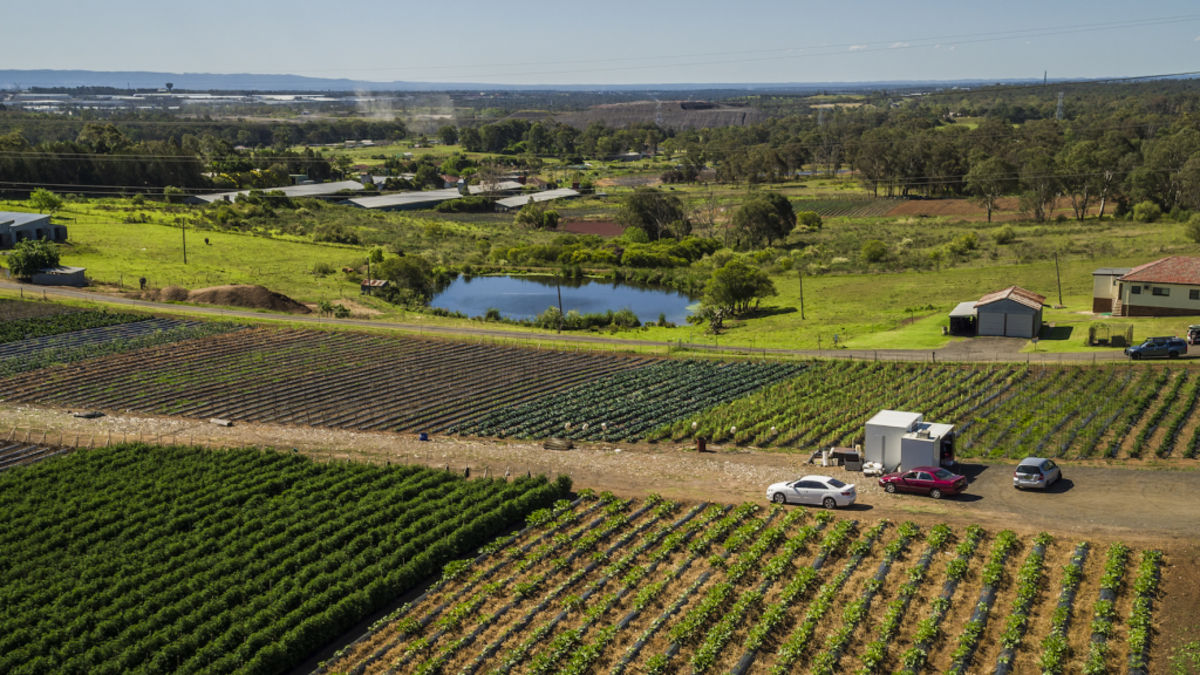 NSW government calling for a new crop of urban farmers for Western