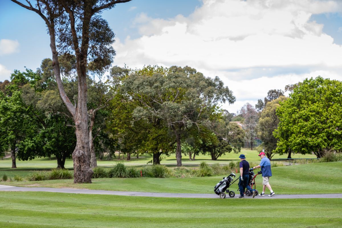 Box Hill South The suburb with a wealth of green options