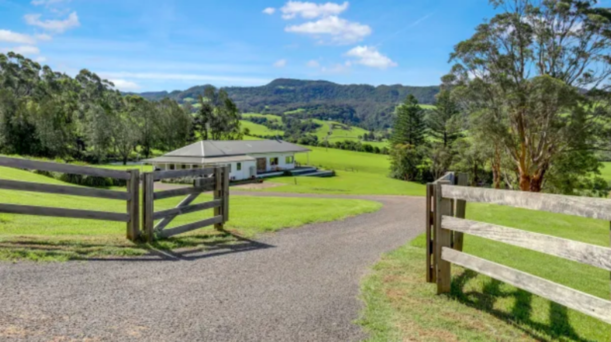 Illawarra farm that grows 'caviar of the citrus world' for sale - Commercial Real Estate News
