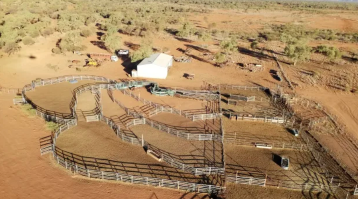 NT farmers buy adjoining cattle stations for 38.5m