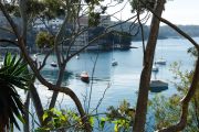 Kurraba Point: The small harbourfront suburb with a sense of community