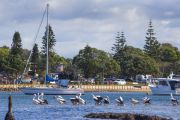 Where to visit on the NSW mid-north coast to help its recovery from the bushfires
