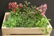 How to make a self-watering herb planter box