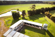 Horse stud owners take a punt on spring auction market