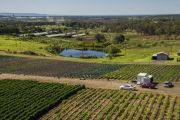 City slicker seeking the agricultural life? This could be the farm for you
