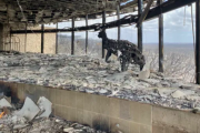 'Half-full' hotels count cost of bushfires