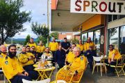 South Coast business turnover takes a dive following bushfires