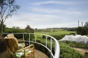 Is this the perfect paddock-to-plate venture for a post-coronavirus sea change?