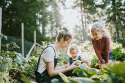 10 easy-growing plants to cultivate your kids' green thumb