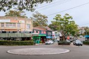 Wahroonga: Green spaces galore in the 'house-proud' leafy Sydney suburb