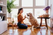 Why housesitting is making a major comeback in 2021