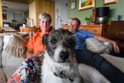 Apartment pets saga takes new twist as tribunal rules Camperdown unit dwellers can keep cats but not dogs