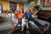 New NSW laws set to allow more apartment owners to keep pets