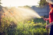 It's only natural: How to live with garden pests