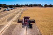 Farms yields hit 13 per cent on soaring commodity prices